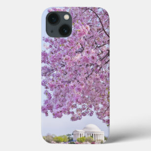 VS, Washington DC, Cherry tree in bloom iPhone 13 Hoesje