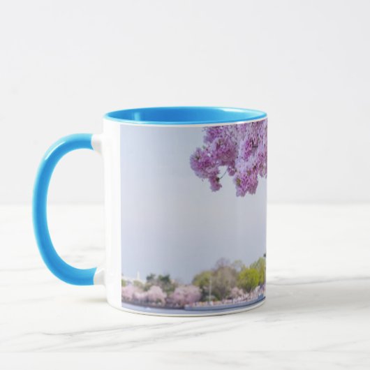 VS, Washington DC, Cherry tree in bloom Mok (Links)