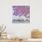 VS, Washington DC, Cherry tree in bloom Poster (Keuken)