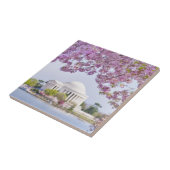 VS, Washington DC, Cherry tree in bloom Tegeltje (Zijkant)