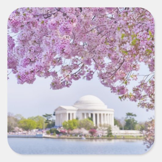 VS, Washington DC, Cherry tree in bloom Vierkante Sticker (Voorkant)