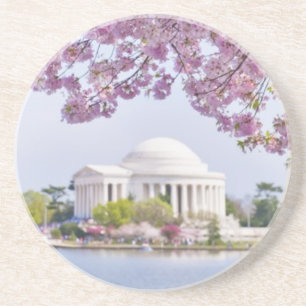 VS, Washington DC, Cherry tree in bloom Zandsteen Onderzetter