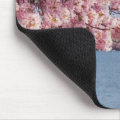 VS, Washington DC, Cherry tree Muismat (Hoek)