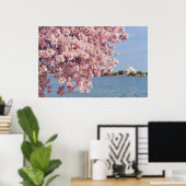 VS, Washington DC, Cherry tree Poster (Thuiskantoor)