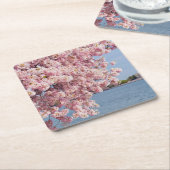 VS, Washington DC, Cherry tree Vierkante Kartonnen Onderzetter (Schuin)