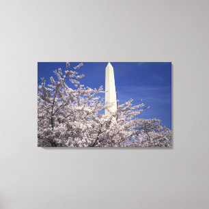 VS, Washington DC. Kersenbloesemfeest en Canvas Afdruk