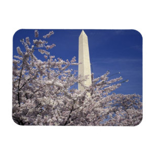 VS, Washington DC. Kersenbloesemfeest en Magneet