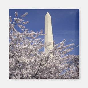 VS, Washington DC. Kersenbloesemfeest en Magneet