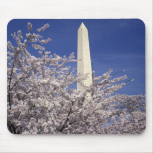 VS, Washington DC. Kersenbloesemfeest en Muismat