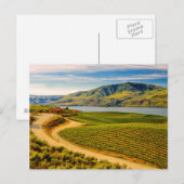 VS, Washington, Lake Chelan. Benson Vineyards Briefkaart (Voorkant / Achterkant)