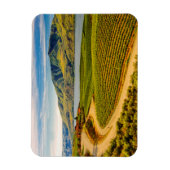 VS, Washington, Lake Chelan. Benson Vineyards Magneet (Verticaal)