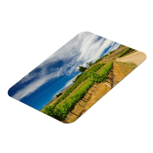 VS, Washington, Lake Chelan. Vineyard III Magneet (Linkerzijde)