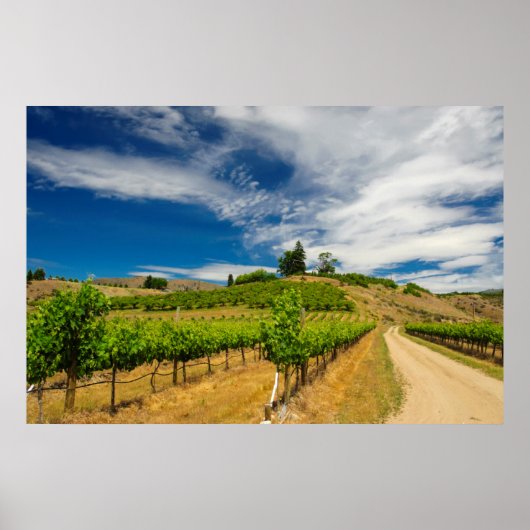 VS, Washington, Lake Chelan. Wijngaard 3 Poster (Voorkant)
