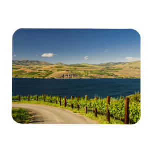 VS, Washington, Lake Chelan. wijngaarden Magneet