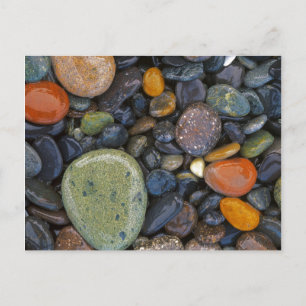 VS, Washington, Lopez Island, Agate Beach Briefkaart