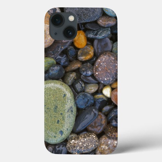 VS, Washington, Lopez Island, Agate Beach Case-Mate iPhone Case (Achterkant)