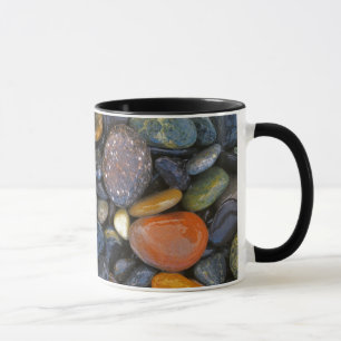 VS, Washington, Lopez Island, Agate Beach Mok