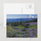 VS, Washington Mt. Adams Wilderness, Meadows Briefkaart (Voorkant / Achterkant)