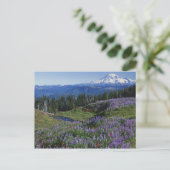 VS, Washington Mt. Adams Wilderness, Meadows Briefkaart (Staand voorkant)