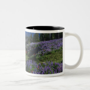 VS, Washington Mt. Adams Wilderness, Weiden Tweekleurige Koffiemok