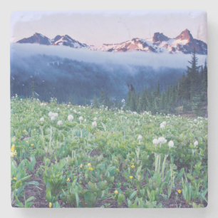 VS, Washington, Mt. Rainier Nationaal Park 4 Stenen Onderzetter