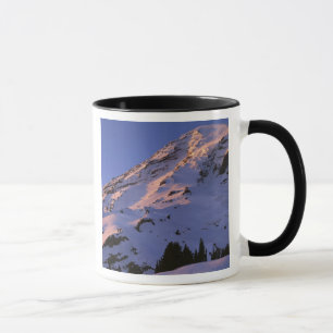 VS, Washington, Mt. Rainier Nationaal Park Mok
