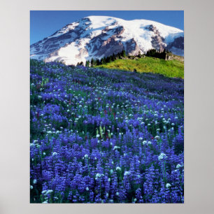 VS, Washington, Mt. Rainier Nationaal Park. Mt. Poster