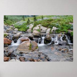 VS, Washington, Mt. Rainier National Park 3 Poster