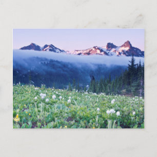 VS, Washington, Mt. Rainier National Park 4 Briefkaart