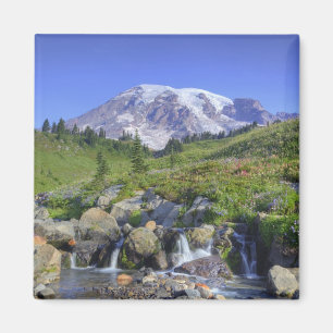 VS, Washington, Mt Rainier NP, Mt Rainier en 2 Magneet