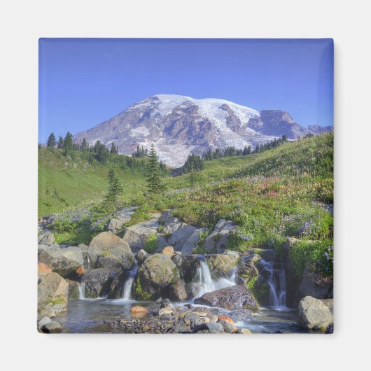 VS, Washington, Mt Rainier NP, Mt Rainier en 2 Magneet (Voorkant)