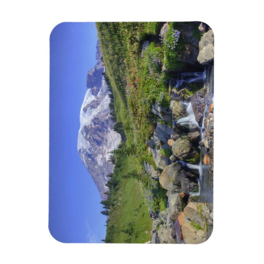 VS, Washington, Mt Rainier NP, Mt Rainier en 2 Magneet (Verticaal)