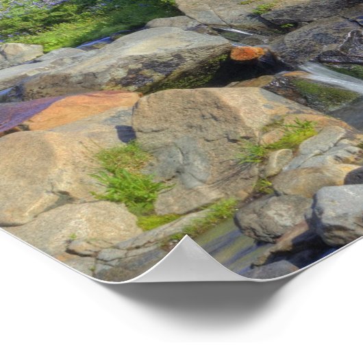 VS, Washington, Mt Rainier NP, Mt Rainier en 2 Poster (Hoek)