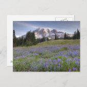 VS, Washington, Mt. Rainier NP, Mt. Rainier en Briefkaart (Voorkant / Achterkant)