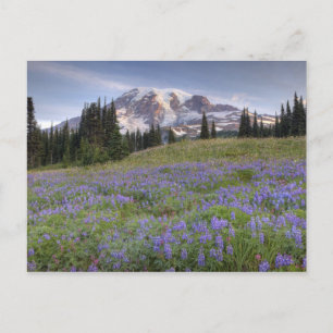 VS, Washington, Mt. Rainier NP, Mt. Rainier en Briefkaart