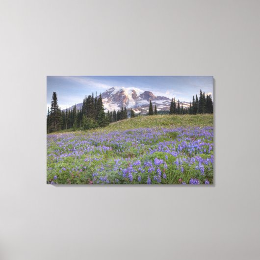 VS, Washington, Mt. Rainier NP, Mt. Rainier en Canvas Afdruk (Voorkant)