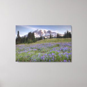 VS, Washington, Mt. Rainier NP, Mt. Rainier en Canvas Afdruk