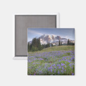 VS, Washington, Mt. Rainier NP, Mt. Rainier en Magneet (Voorkant / Achterkant)