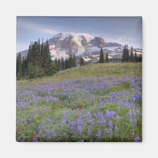 VS, Washington, Mt. Rainier NP, Mt. Rainier en Magneet (Voorkant)