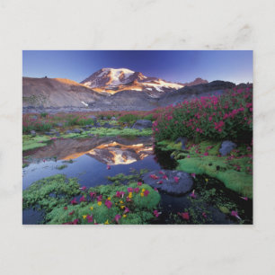 VS, Washington, Mt. Rainier NP, zonsopgang, Briefkaart