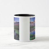 VS, Washington, Mt. Rainier NP, zonsopgang, Mok (Midden)