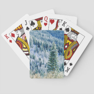 VS, Washington, Mt. Spokane State Park, Aspen 2 Pokerkaarten