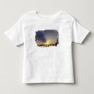 VS, Washington, nabij Port Townsend. Point Kinder Shirts