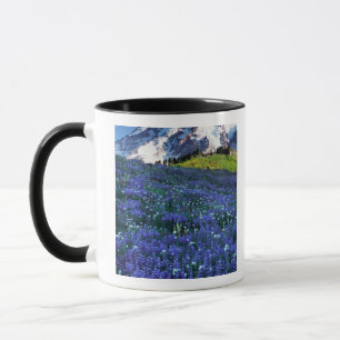 VS, Washington, Nationaal park Mount Rainier. Mt. Mok