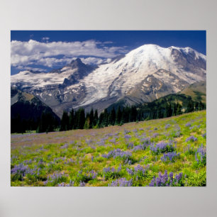 VS, Washington, Nationaal park Mount Rainier. Poster