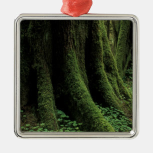 VS, Washington, Olympic National Park, 2 Metalen Ornament
