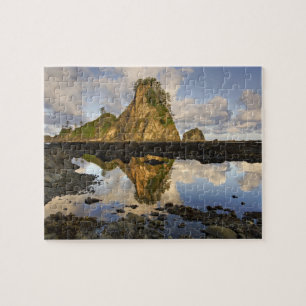 VS, Washington, Olympic National Park. A Legpuzzel