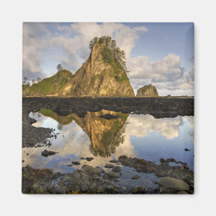 VS, Washington, Olympic National Park. A Magneet