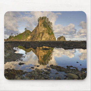 VS, Washington, Olympic National Park. A Muismat
