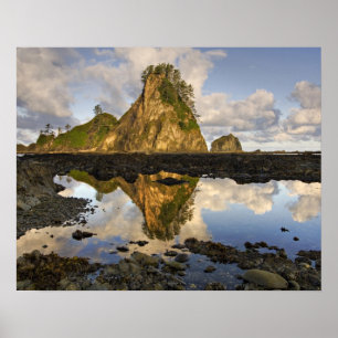VS, Washington, Olympic National Park. A Poster